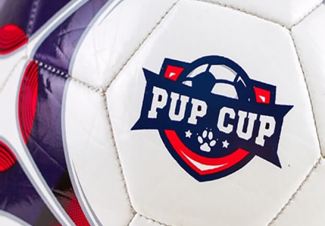 Pup Cup