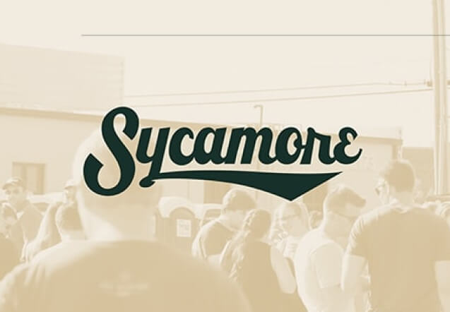 Sycamore